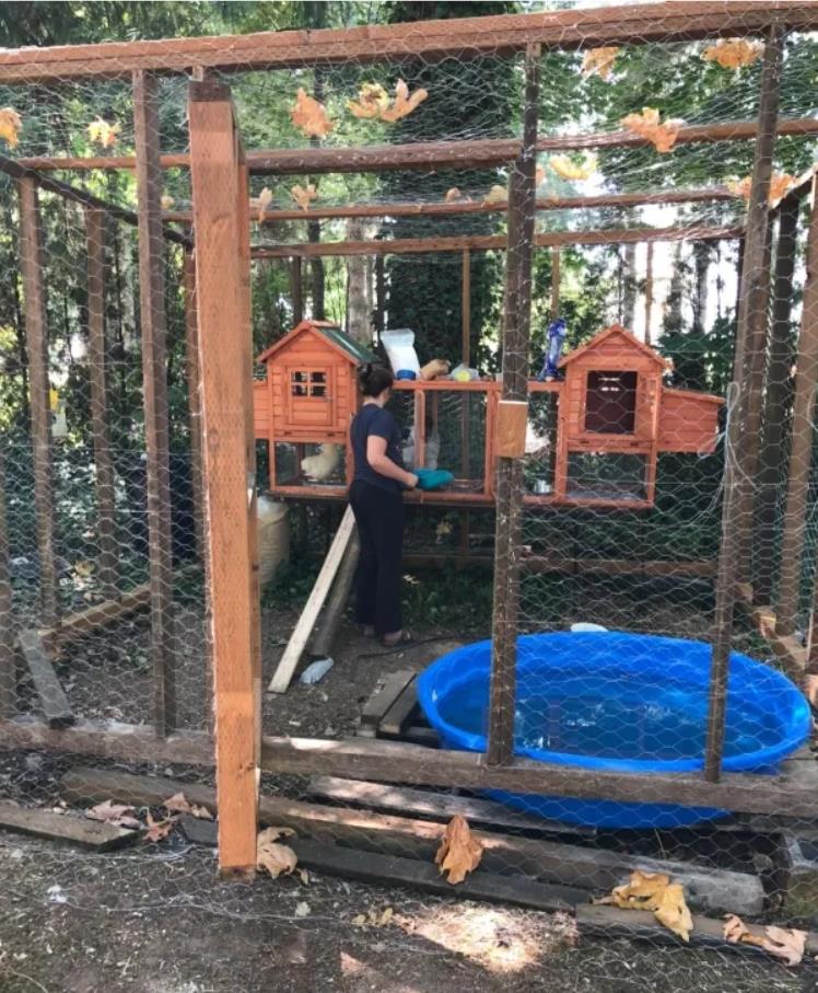 PawHut 124 Double Coop Wooden Large Coop Rabbit Hut Hen Cage Backyard with Outdoor Ramp and Nesting Box